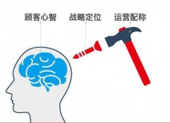 品牌战略咨询公司为企业进行战略咨询把诊问脉