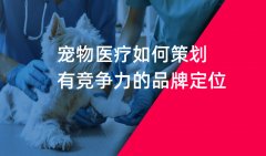 郑州宠物医院品牌策划如何做比较好